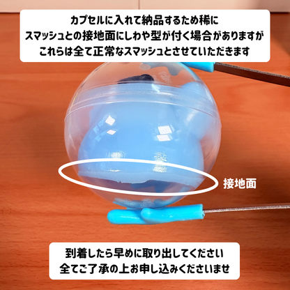 ノーマルスマッシュ
